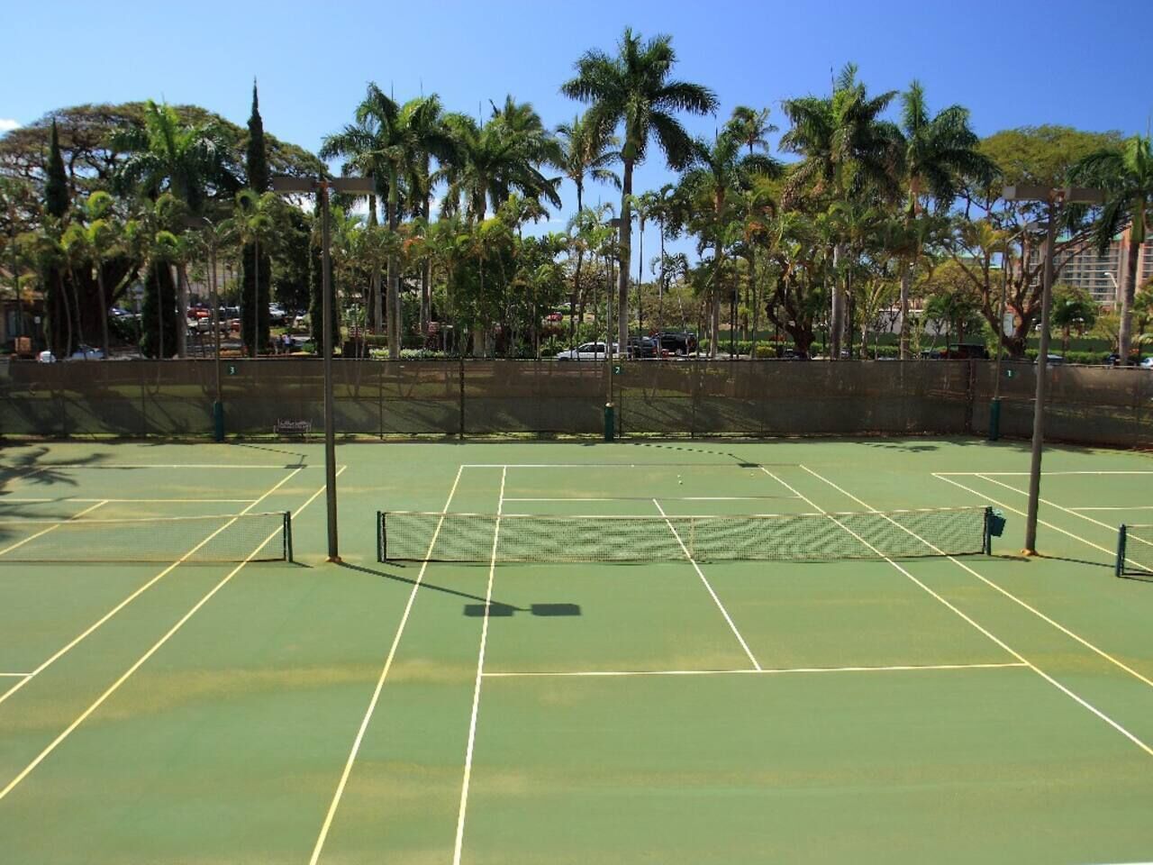 Ein Tennisplatz mit Netz, umgeben von Palmen und einem Zaun.