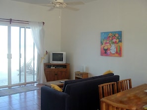 TV, DVD player, music library, video library