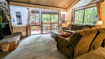 Cheminée, lecteur de DVD