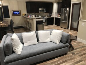 Living area - Minutes to Sierra. Kirkwood, Heavenly. New Home in South Lake Tahoe!  (South Lake Tahoe)
