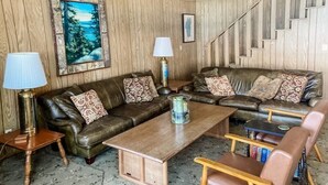 TV, fireplace, DVD player, books