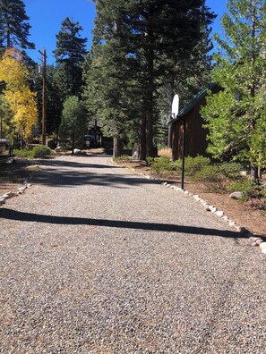 A gravel driveway leading to a building with a satellite dish, surrounded by trees and a clear sky.
