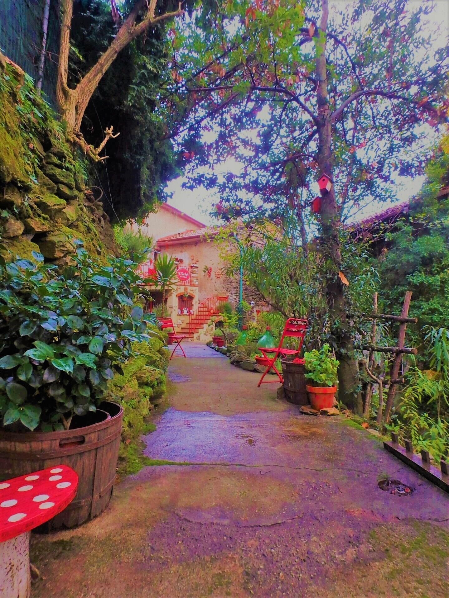 Un étroit sentier mène à un bâtiment rustique doté d’un toit en tuiles, entouré d’une végétation luxuriante et de plantes en pot.