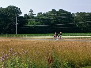 A rural road with a white fence and greenery in the background. - Carriage House - Best Kept Secret in Town (Rehoboth Beach)