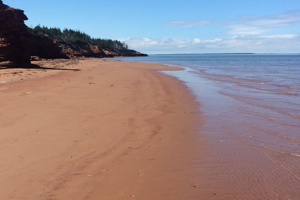 Cabot Beach Provincial Park - The beach! Miles of beach to explore.