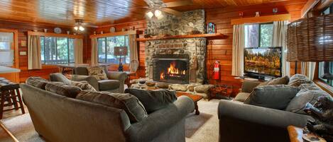 Televisión, chimenea, reproductor de DVD y libros