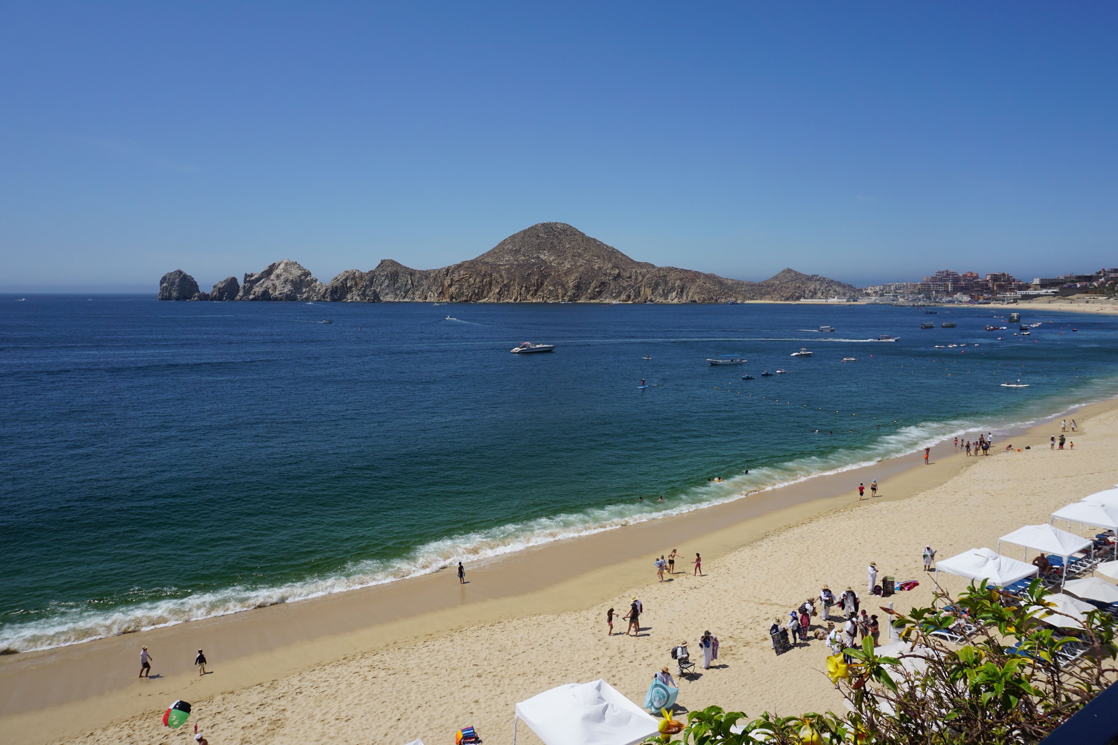 Presidential  Suite with Options! ( beginning at $225 and up) 