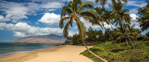 Ocean View, Fully Remodeled, New AC, Walk to Beach
