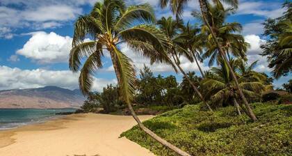 Ocean View, Fully Remodeled, New AC, Walk to Beach