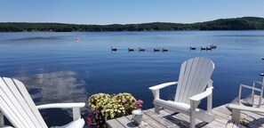 Property grounds - Floating Cottage on The LaHave River close to beaches, golf, on Lighthouse Route (Pleasantville)