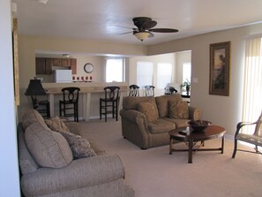 Télévision, cheminée, lecteur de DVD