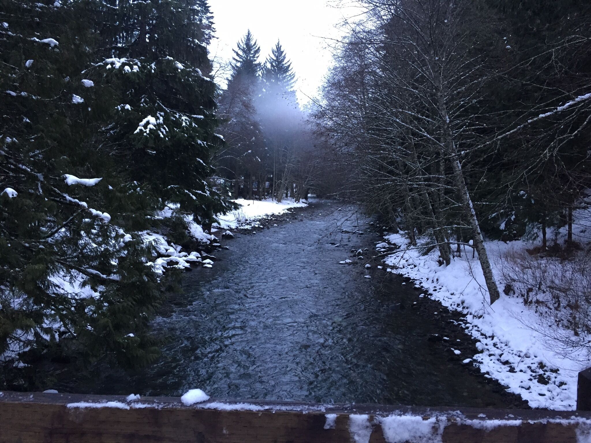 Ein verschneiter Weg, gesäumt von Bäumen, der in einen nebligen Hintergrund führt.