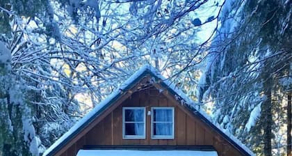 Cozy Riverfront Cabin Near Crystal Mountain & Sunrise Mt. Rainier National Park