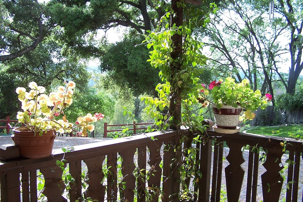Explore the Central Coast from Portola Inn Guest House