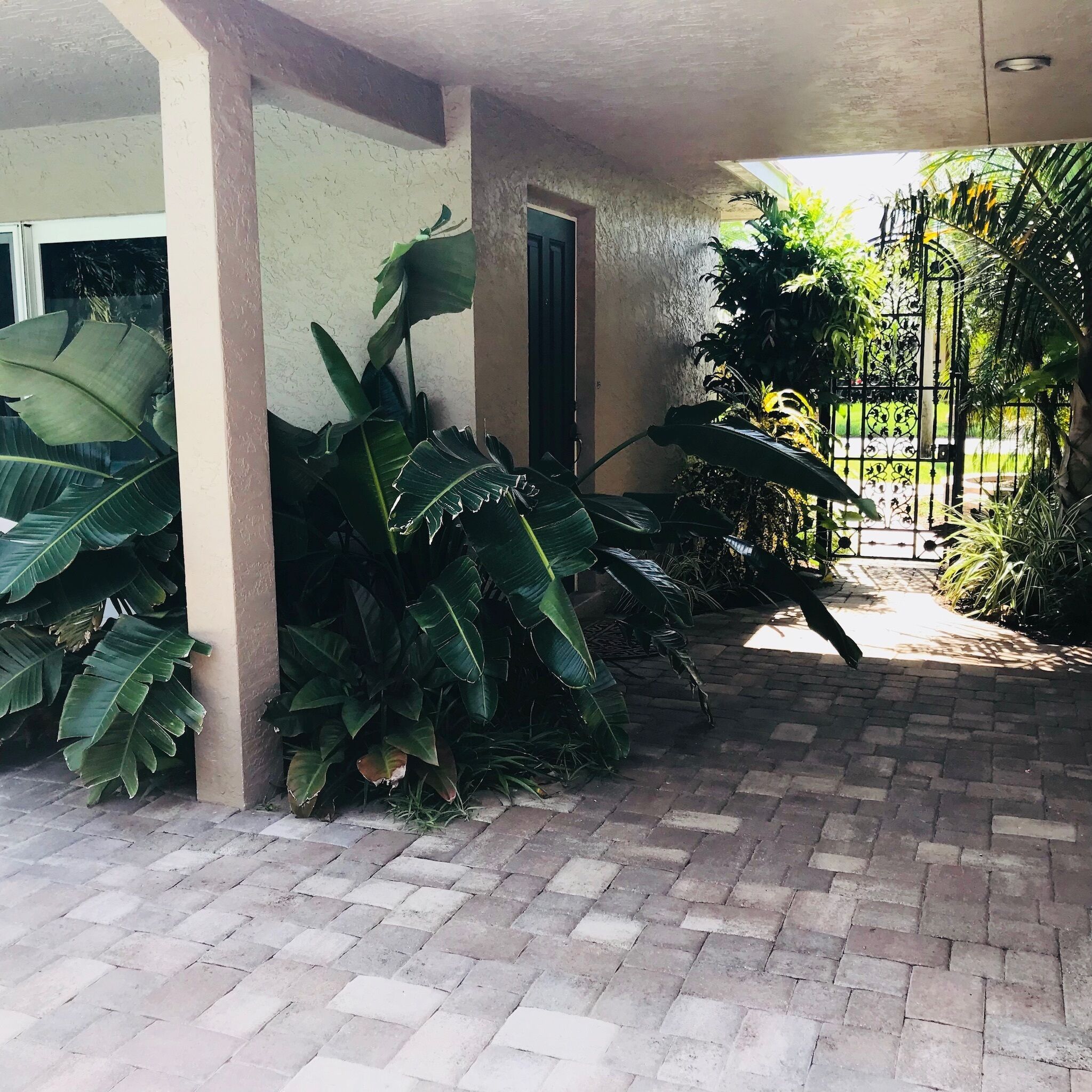 Your own Tropical Home