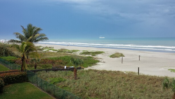 Uma praia com uma palmeira, uma cerca e vista do oceano.