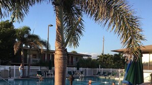 Área de piscina com espreguiçadeiras, uma palmeira e um edifício ao fundo.