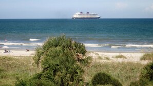 Ein Kreuzfahrtschiff auf dem Ozean, im Vordergrund ein Strand.