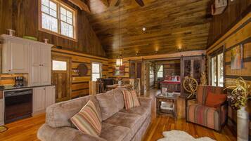 Una televisión, una chimenea, libros