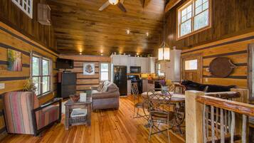 TV, fireplace, books