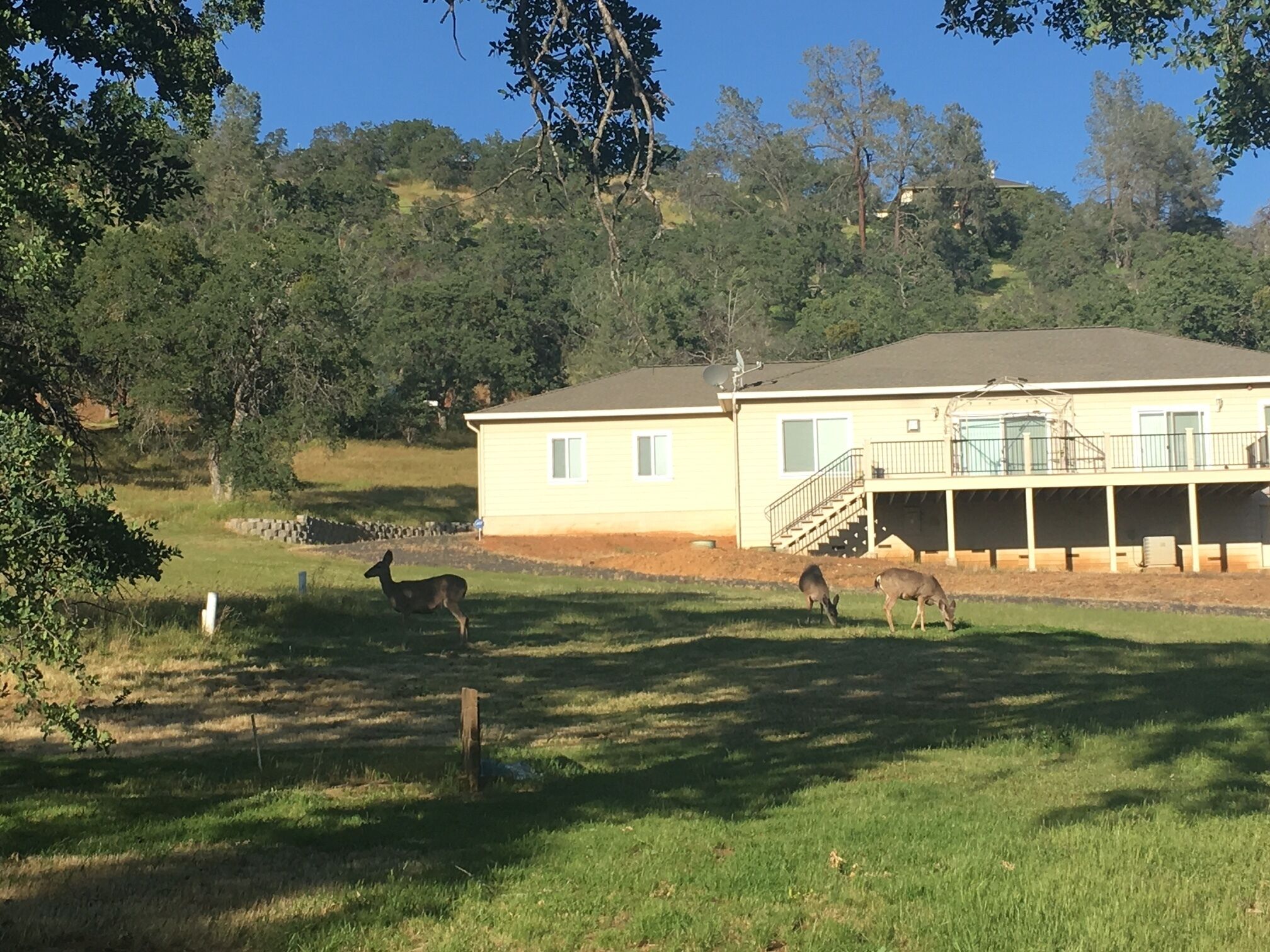 House@Lake Don Pedro w Lake Views-Boating/Dodge Ridge/Yosemite
