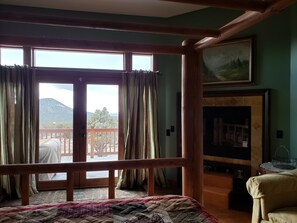 TV, fireplace, DVD player, books