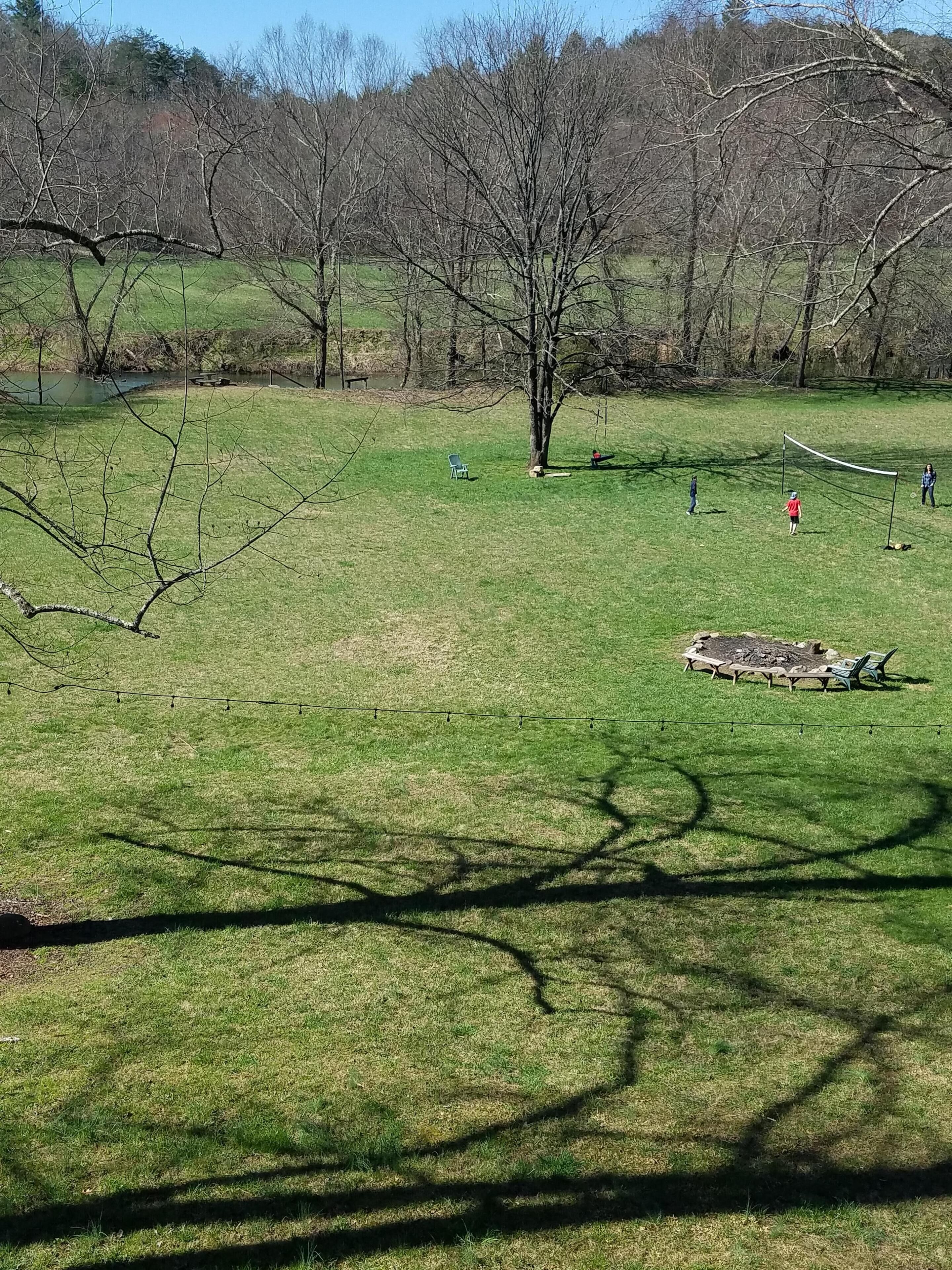 Un campo cubierto de hierba con una red de voleibol, bancos y un árbol.