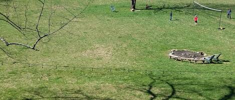 Un campo cubierto de hierba con una red de voleibol, bancos y un árbol.