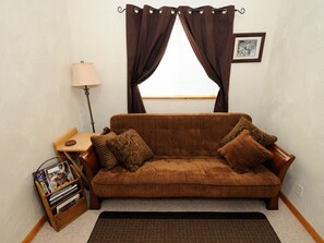 TV, DVD player, books, video library