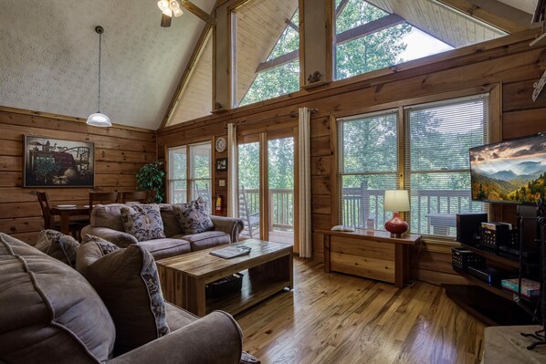 Televisión y chimenea 