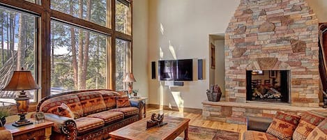 TV, lareira, DVD player, livros