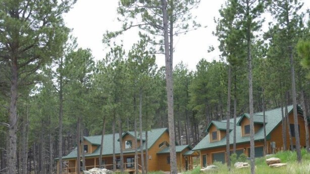 A row of log cabin-style lodges surrounded by a forest. - Laramie Bluffs Mountain Getaway (Custer)