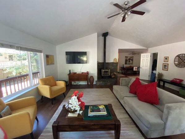 Smart TV, fireplace, video games, DVD player