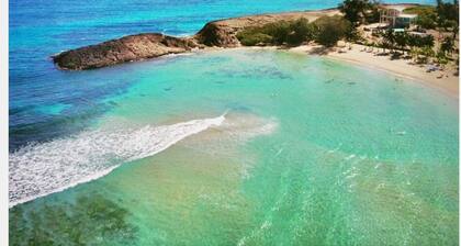 Enchanting Zen Oasis Home W/Pool and Solar Panels on Ramey, Aguadilla