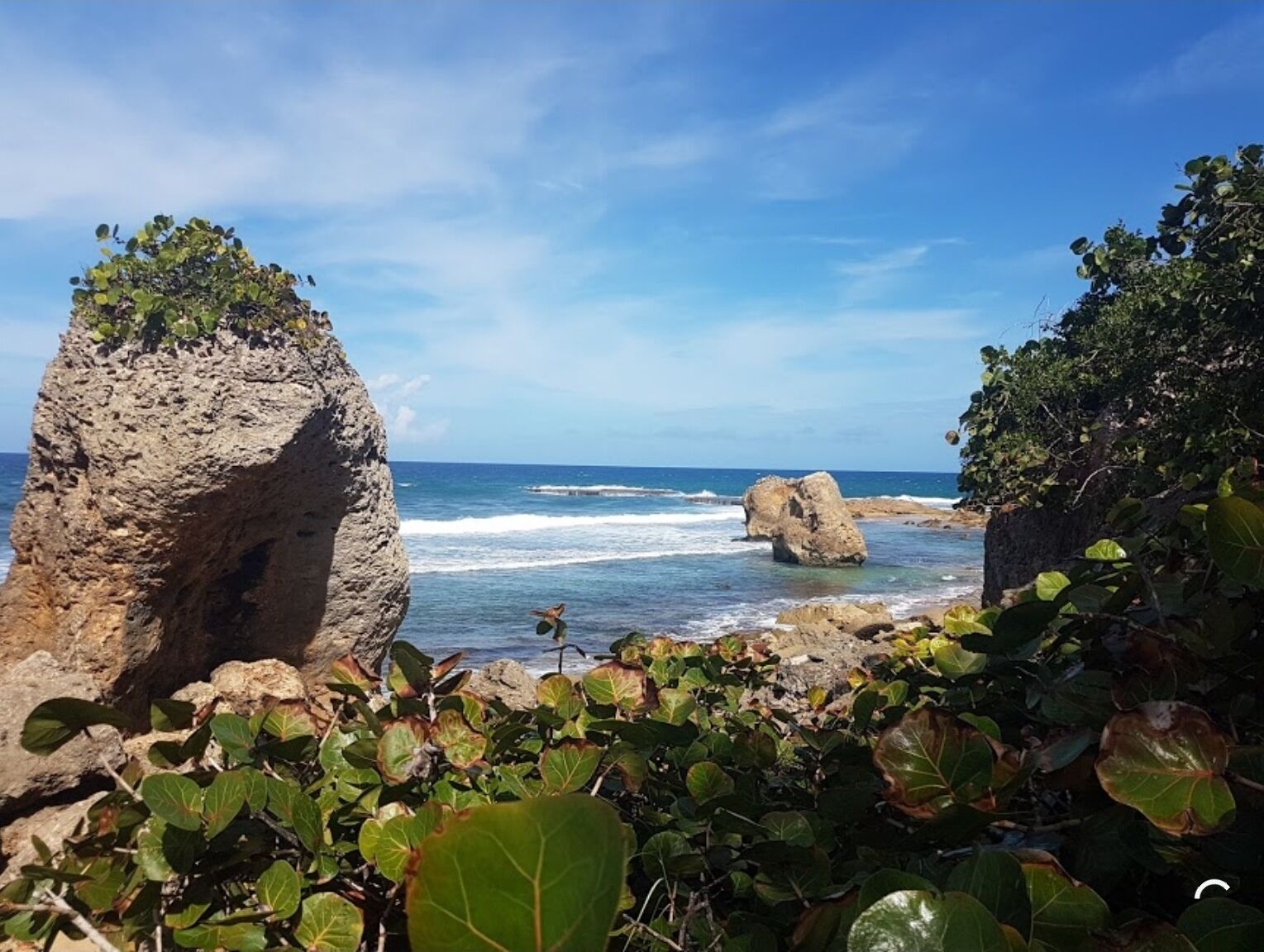 Un paysage côtier caractérisé par des affleurements rocheux et une végétation luxuriante.