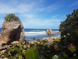 Plage à proximité