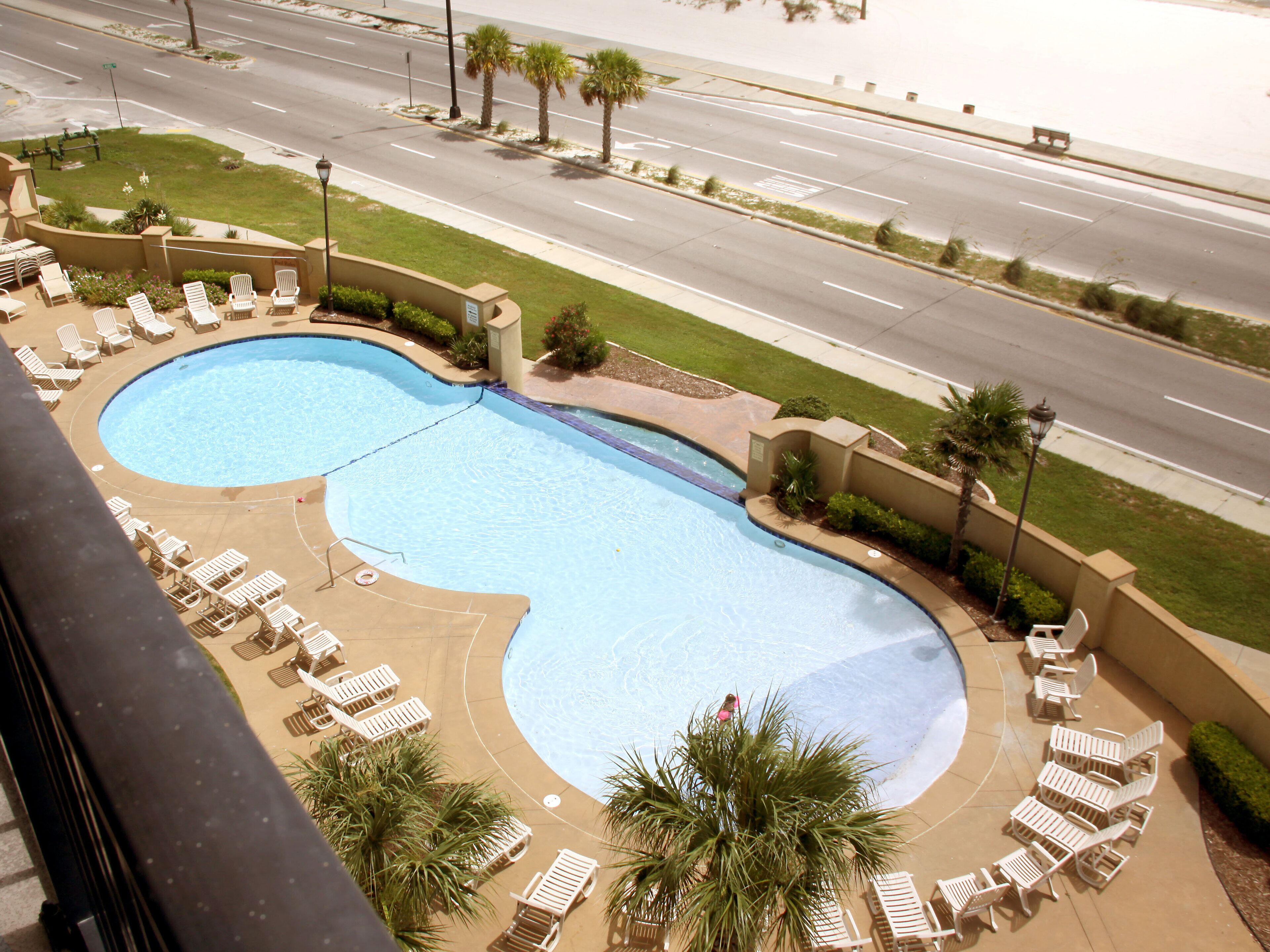 Une grande piscine extérieure dotée de nombreuses chaises longues et bordée de palmiers.