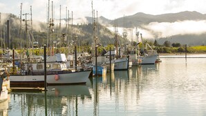 Un port de plaisance où sont amarrés de nombreux bateaux, entouré de montagnes et enveloppé de brume.