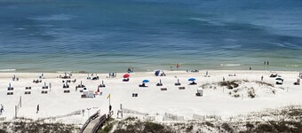 PREMIUM Beach Front 3 Bedroom Condo at Phoenix VII!!