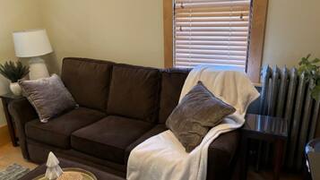TV, DVD player, books, video library