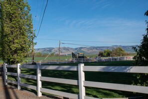 Property grounds - The Barn on Braden, Classic Splendor on the South Side  (Walla Walla)