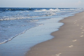 En la playa y camastros 