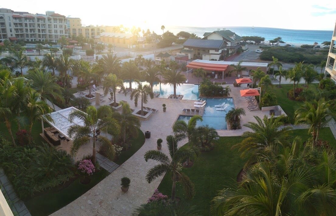 A resort with a large pool, palm trees, and a view of the ocean.