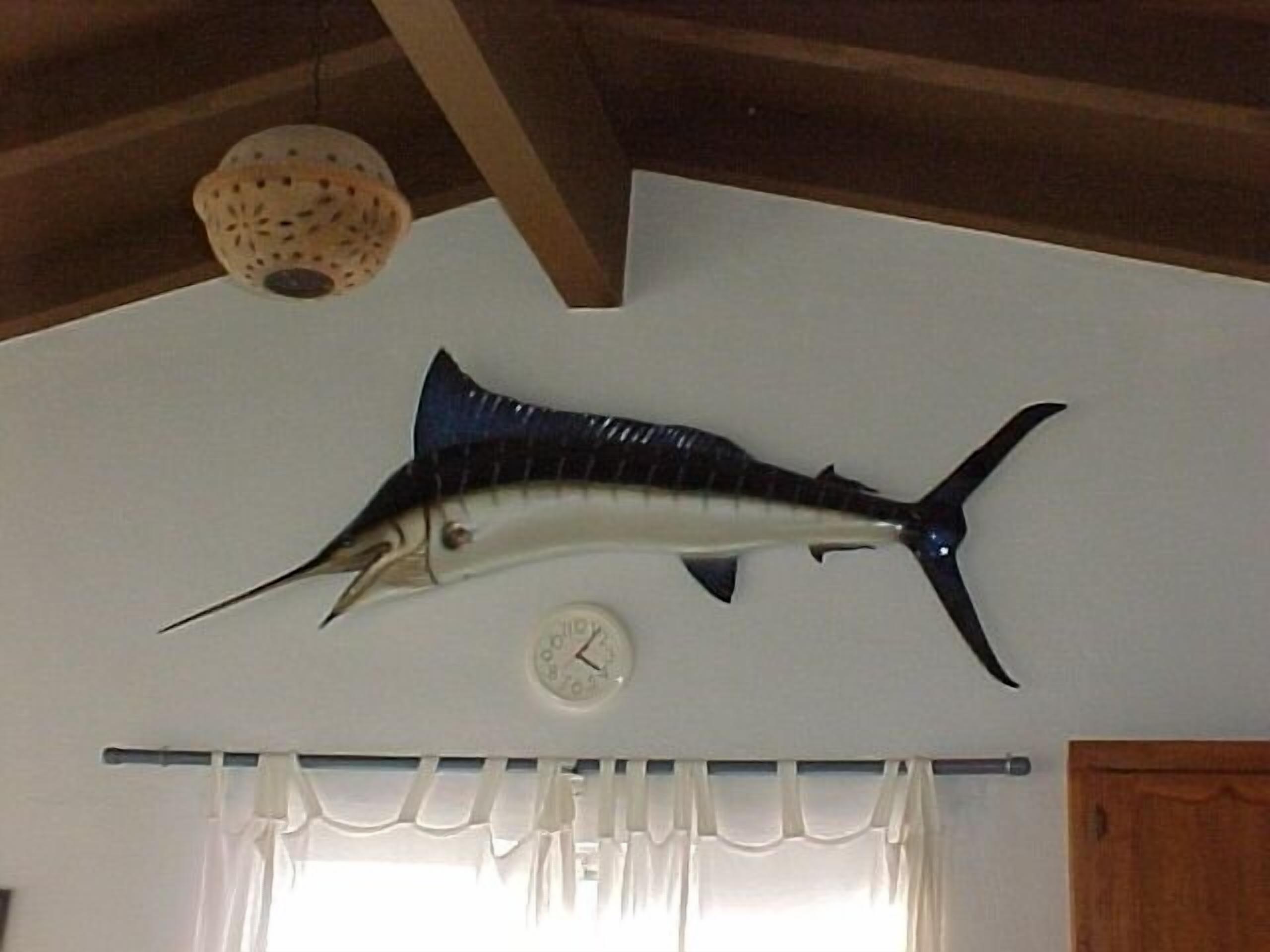 Best Bang for  Your Buck!  Los Conchas Beach House