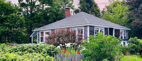 A house surrounded by a lush garden with various plants and flowers.