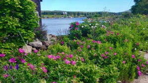 Een tuin met roze bloemen en uitzicht op een meer met een huis op de achtergrond.