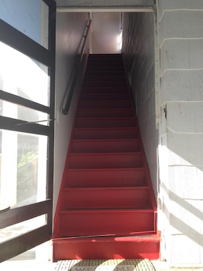 Interior - Cardinals Roost Virginia Apartment: On Boulevard - Sleeps 3 (Athens)