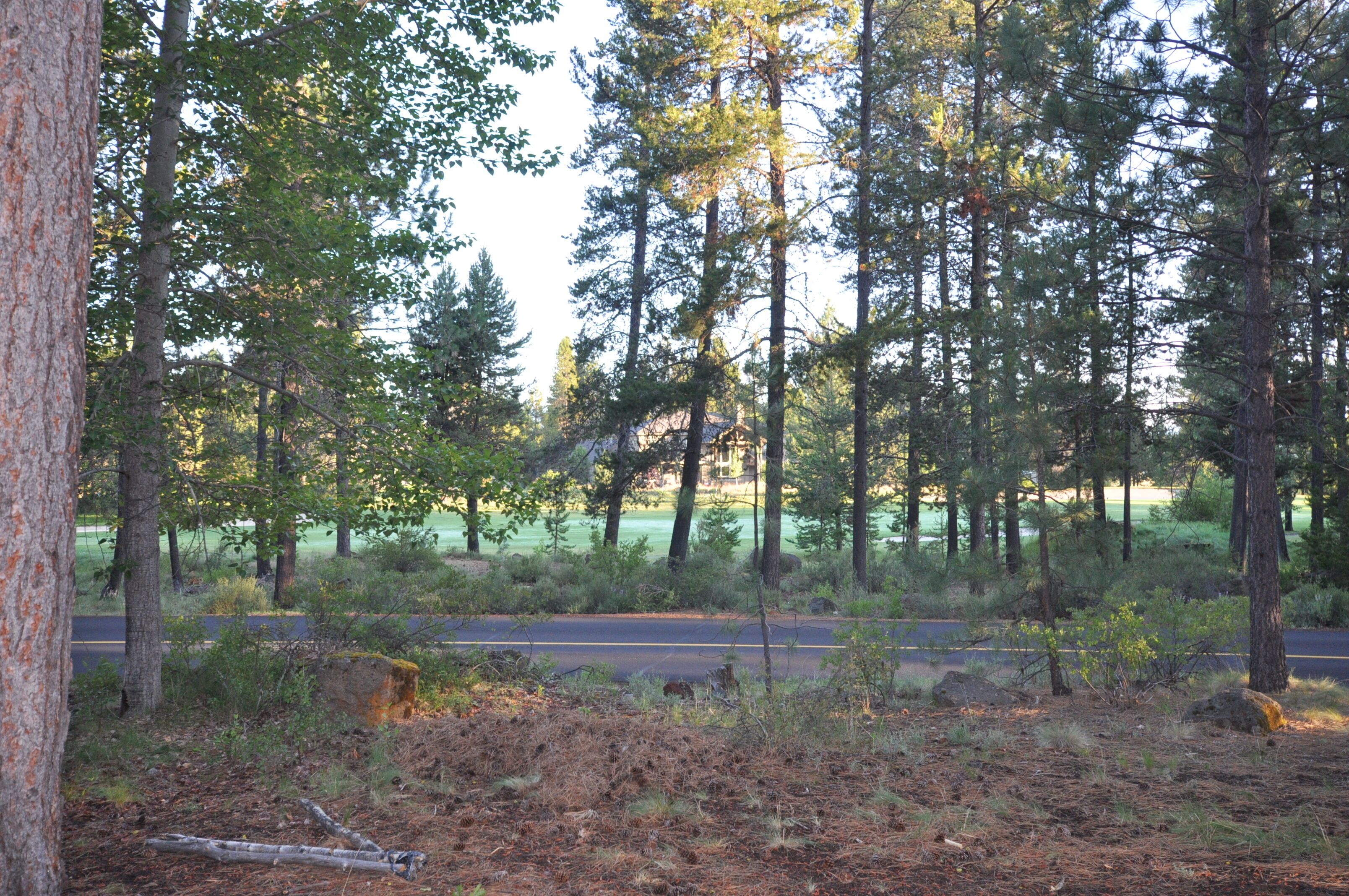 View of Meadows 5th Fairway from Backyard
