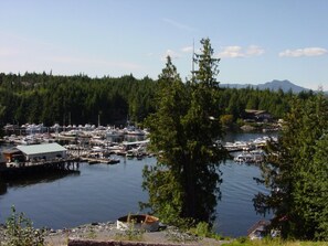A marina with boats docked, surrounded by dense forest and a mountain in the background. - Almost Home 3-bdrm overlooking Knudson Cove Marina. Fishermen & families welcome (Ketchikan)