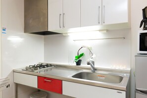Apartment ( 202 ) | Eigene Kochnische | Kühlschrank, Mikrowelle, Herdplatte, Wasserkocher mit Kaffee-/Teezubehör